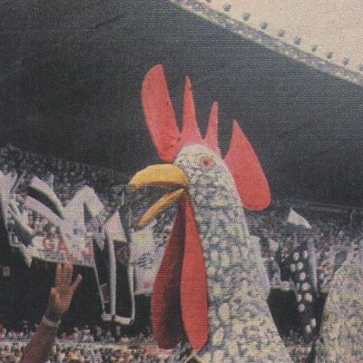 ACERVO DO GALO - Christiano Pacheco's profile picture
