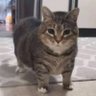 Bean's profile picture