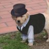 perrito y ya's profile picture
