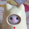 𝖚𝖈𝖍𝖎𝖍𝖆 profil fotoğrafı