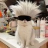 颜's profile picture