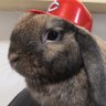 ホナ イキマヒョカ profil fotoğrafı