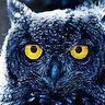 Pipexblue profil fotoğrafı