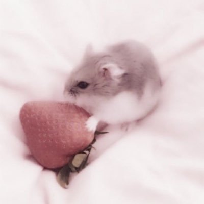 S's profile picture