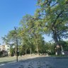 Фото профиля miccle