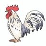 Data science Rooster 的头像