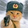 Profilbild von 天空是什么颜色