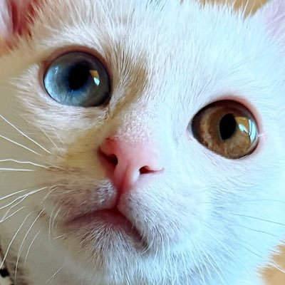 Kamui_310's profile picture