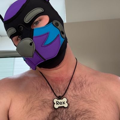 thepup_rex's profile picture