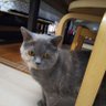 マー君's profile picture