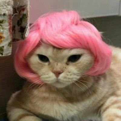 𓈒 ݁ ⟡ ݁ ♡ リシ－🌸's profile picture
