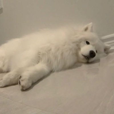 𝘀𝗺𝗶𝗹𝗲𝗺𝘂𝘂 ヅ (2)'s profile picture