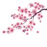 Profilbild von 新阪県SR桜田電鉄公式|Sakurada Electric Railway