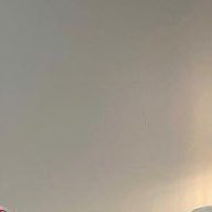 日本の夜明けぜよ's profile picture
