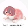 Фото профиля きゅい