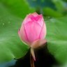 Фото профиля 自由真言