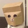Profilbild von Paper bag