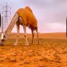 لهب.'s profile picture