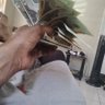 gaza$goddson7's profile picture