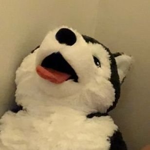 ddcimk's profile picture
