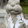 Yasu 的头像