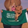 ابراهيم الرفاعي's profile picture