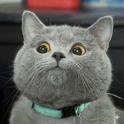 Ice Universe's profile picture
