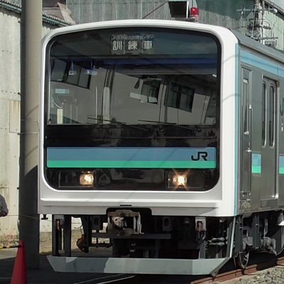 大根おろち's profile picture