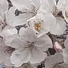 Фото профиля かよ♪💐🌻