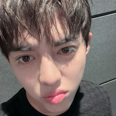 라따뚜이🍒's profile picture