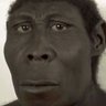 Profilbild von GASHIBUTISI