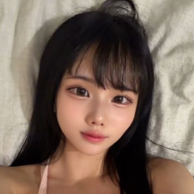 いったんめいたん's profile picture