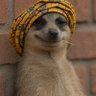 Profilbild von Local Man