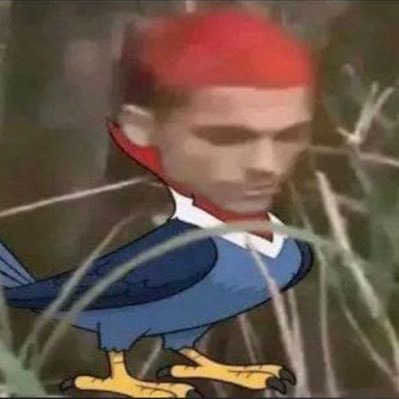 FuiMortdaSilv's profile picture