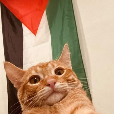 The West Banker's profile picture