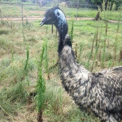 Daisuke34469411's profile picture