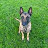 Profilbild von James, Buster and Blade