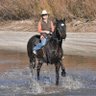SassyCowgirl🐴🤠's profile picture
