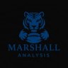 Marshall analysis 🥊 profil fotoğrafı
