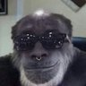 greazzyyy's profile picture