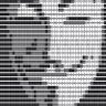 TEXACOdriller™'s profile picture