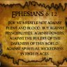 Profilbild von 🇺🇸 ✝️ 🛐 WE THE PEOPLE ✝️ 🛐🇺🇸