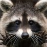 Edward Turner's profile picture