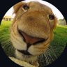 apocum profil fotoğrafı
