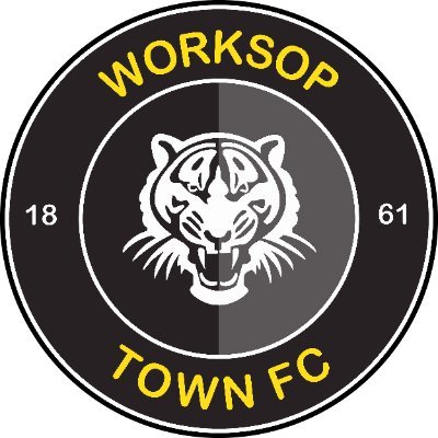 worksoptownfc's profile picture