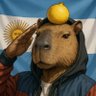 El Carpincho 🍋 的头像