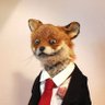 Profilbild von Renwable_0