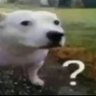 J 的头像