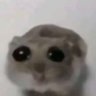 Profilbild von Be chad