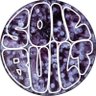 Soil_built 的头像